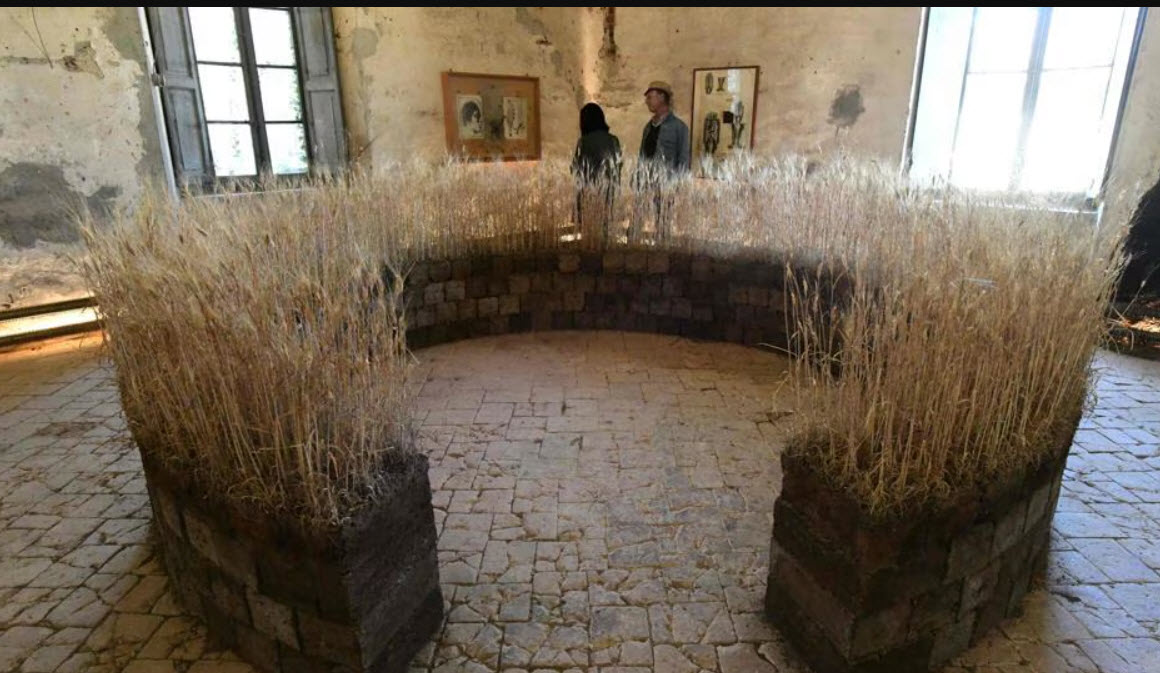 The Shit Museum, Italy